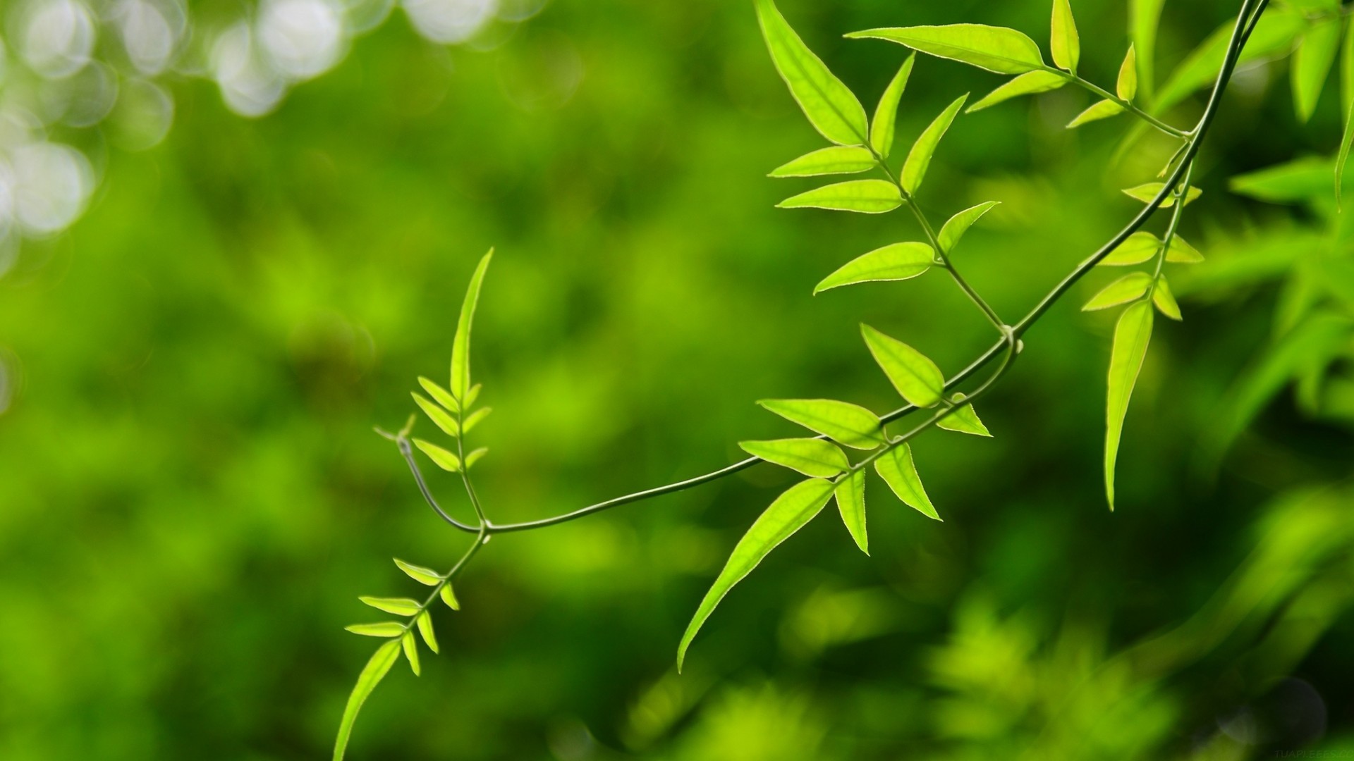 浪琴手表日期不准什么时候调（手表日期调整方法）